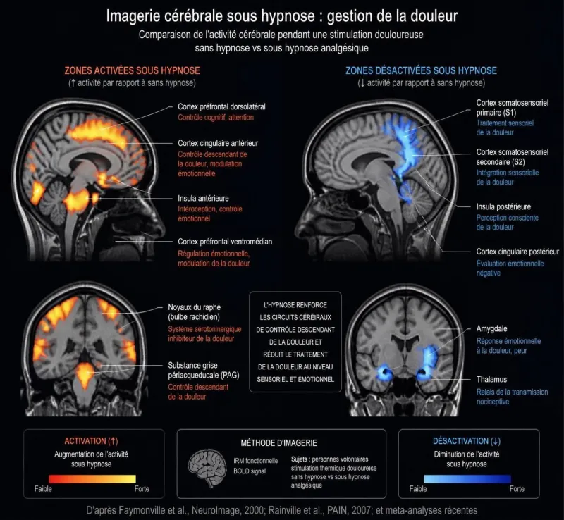 découvrez comment l'hypnose peut aider à gérer les douleurs chroniques, ses bénéfices réels et ce à quoi s'attendre grâce à cette approche thérapeutique.